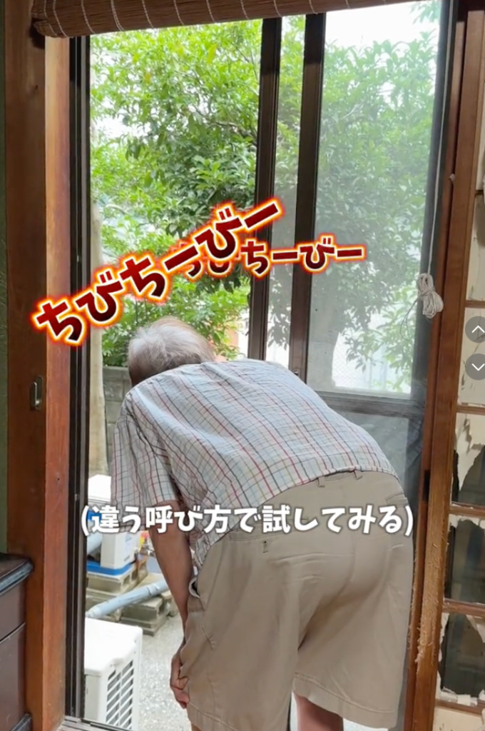 【中西家の日常】おばあちゃんは何歳？認知症じゃないって言ってるけど本当は？